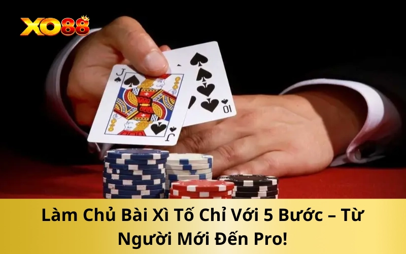 Làm Chủ Bài Xì Tố Chỉ Với 5 Bước – Từ Người Mới Đến Pro!