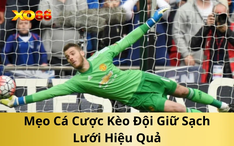 Mẹo Cá Cược Kèo Đội Giữ Sạch Lưới Hiệu Quả
