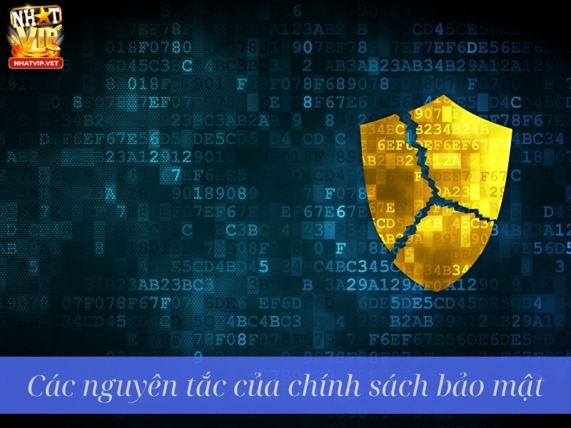 Tránh rò rỉ thông tin cá nhân và tài khoản ngân hàng