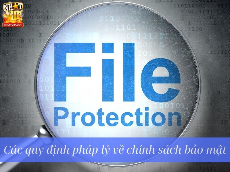 Thu thập và lưu trữ thông tin người dùng ra sao