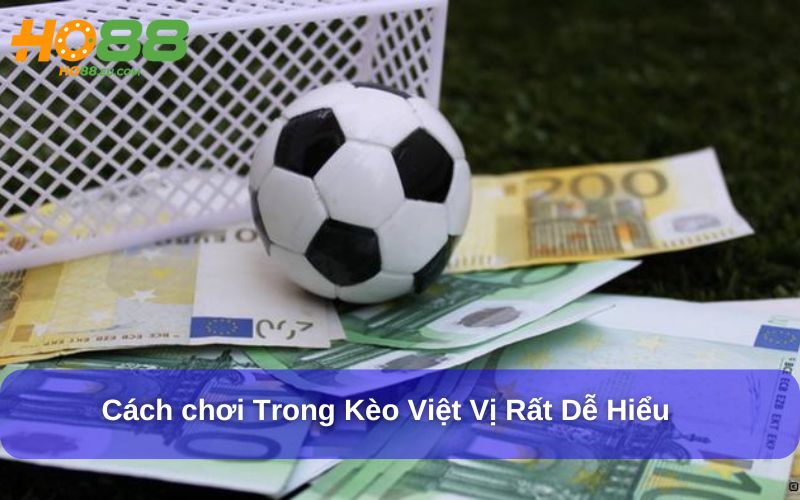 Hướng Dẫn Cách Đọc Và Đặt Kèo Việt Vị Hiệu Quả