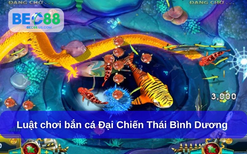 Đăng nhập và chọn chế độ chơi