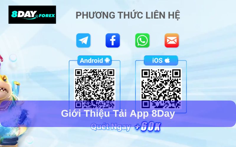 Tại sao nên tải App 8Day?