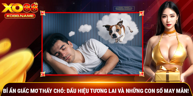 Bí Ẩn Giấc Mơ Thấy Chó